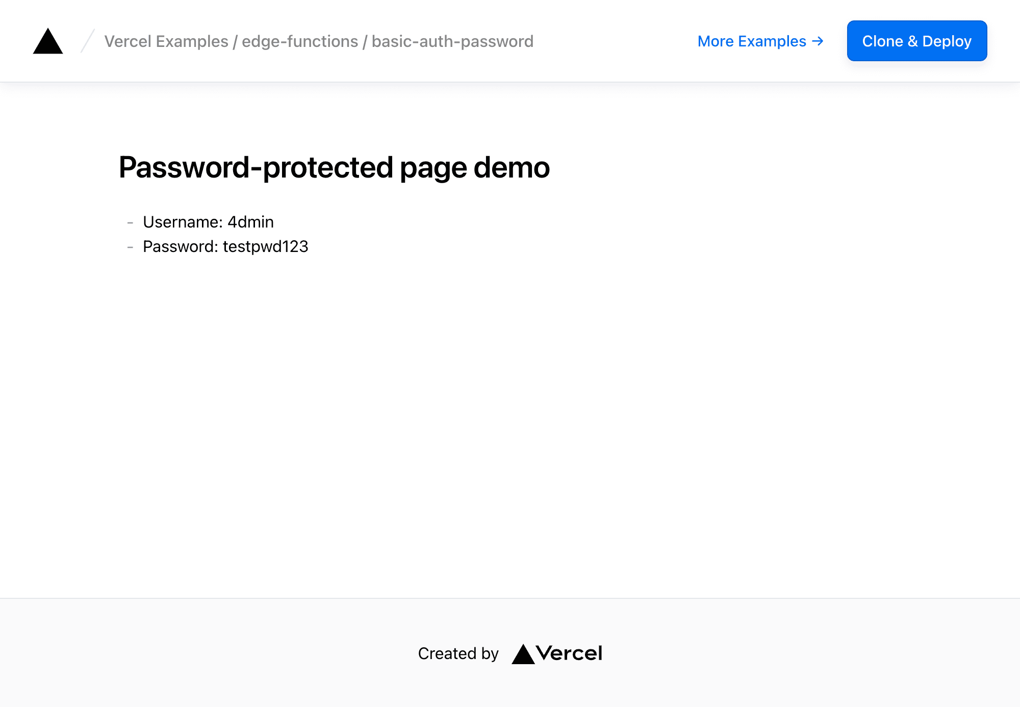 Basic Auth Password Protection