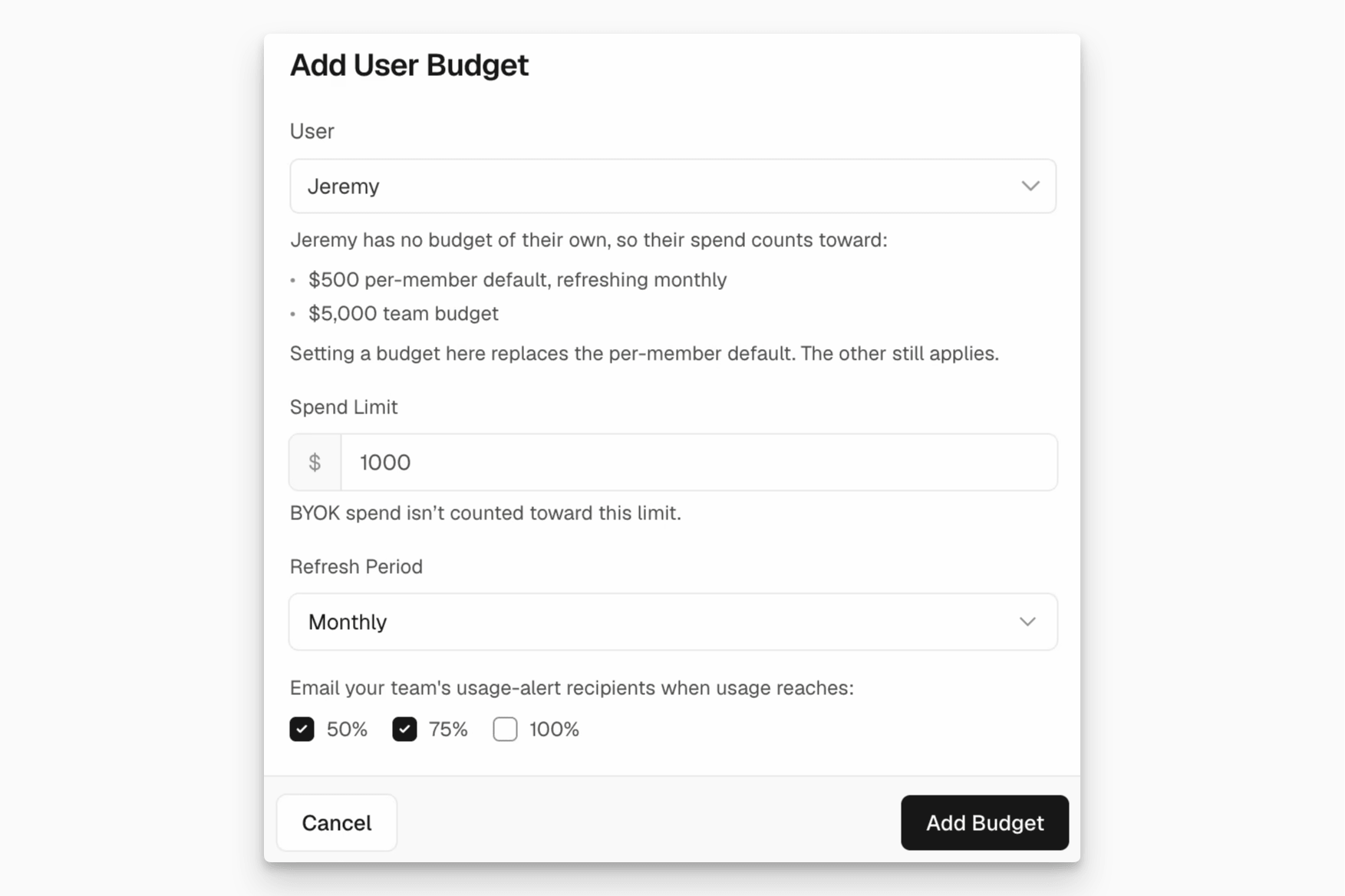 Set a custom user budget. It replaces the default user budget for that member, while the team budget still applies.